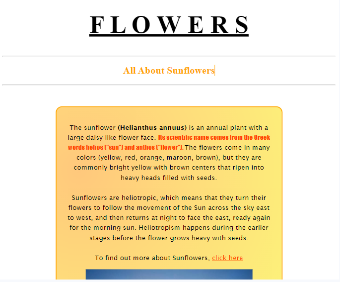 Sunflower website screenshot